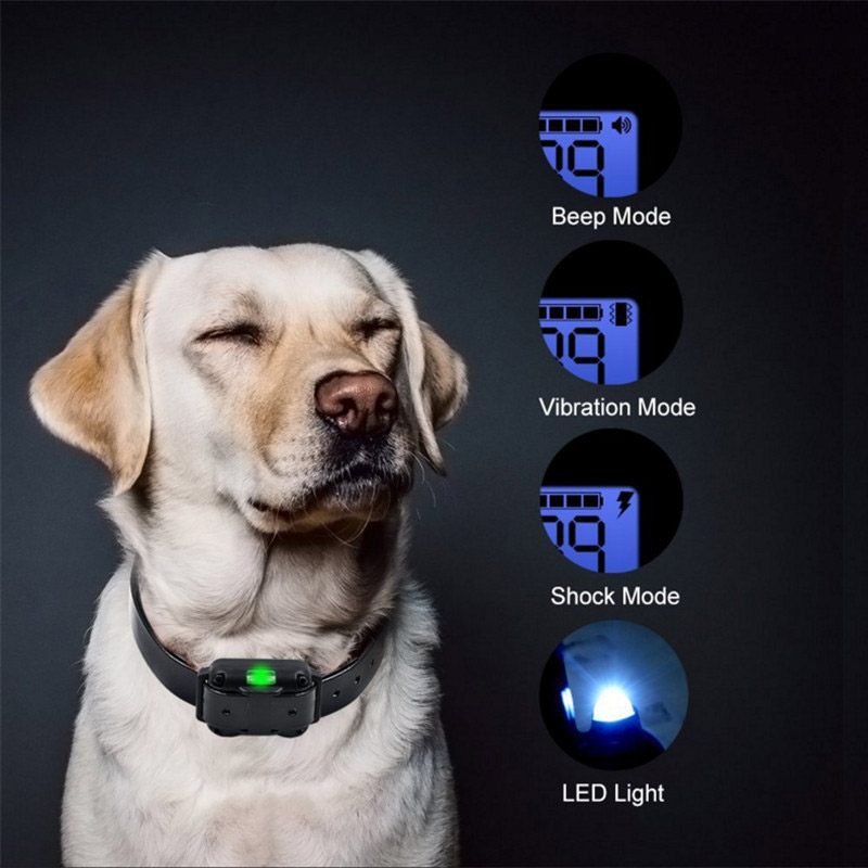 remote dog barking control